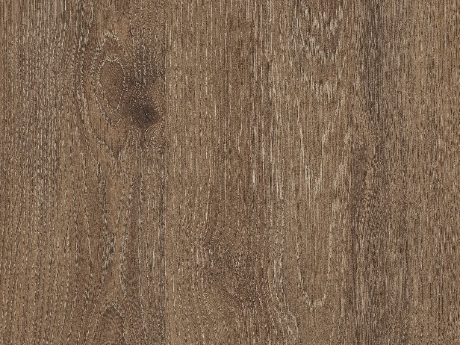 Dąb Davos truflowy H3133 ST9