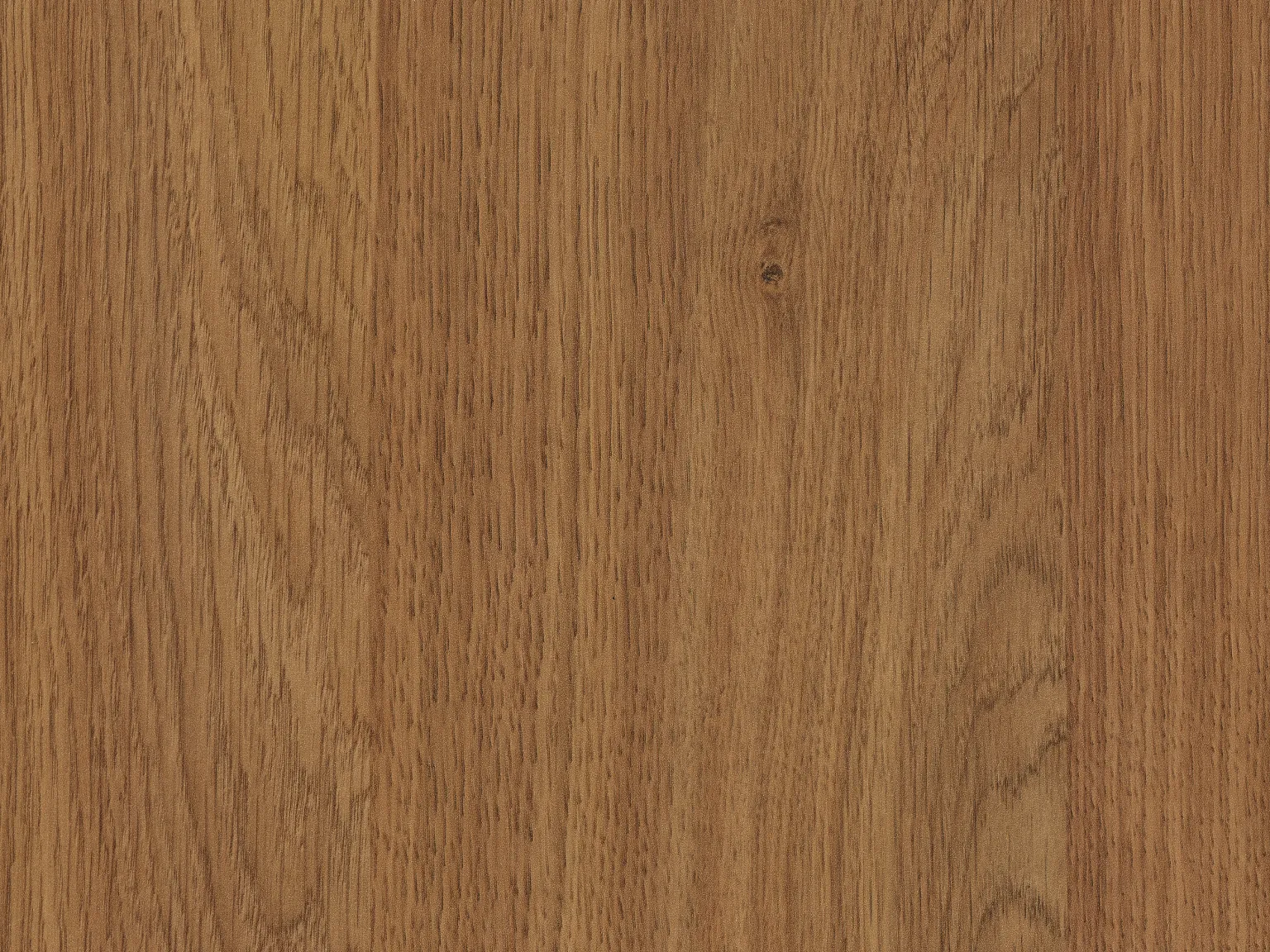 Dąb Kendal koniakowy H3398 ST12