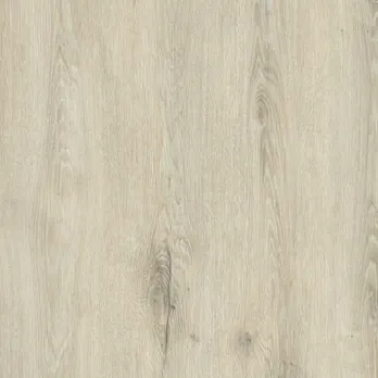 Dąb Lumberjack Frost PD3099