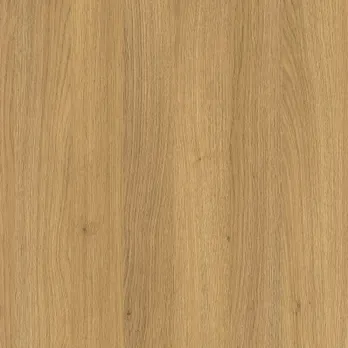 Dąb Natura PD3084
