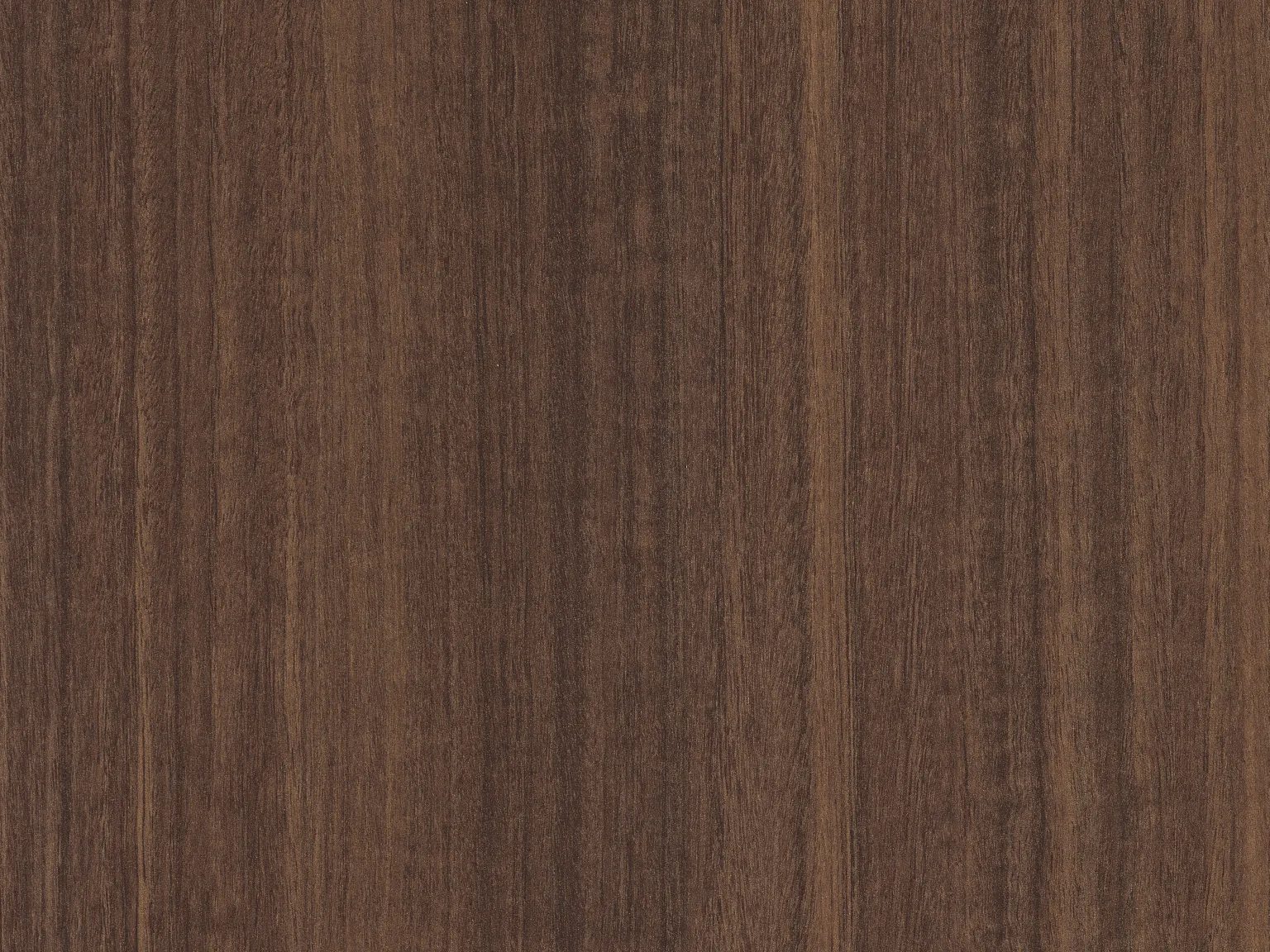 Eukaliptus naturalny H3041 TM12