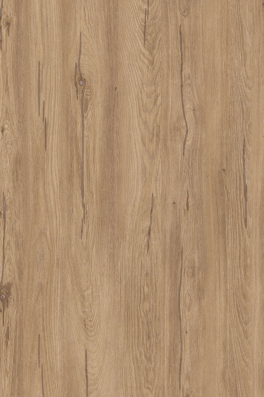 Hazel Silverjack Oak K544
