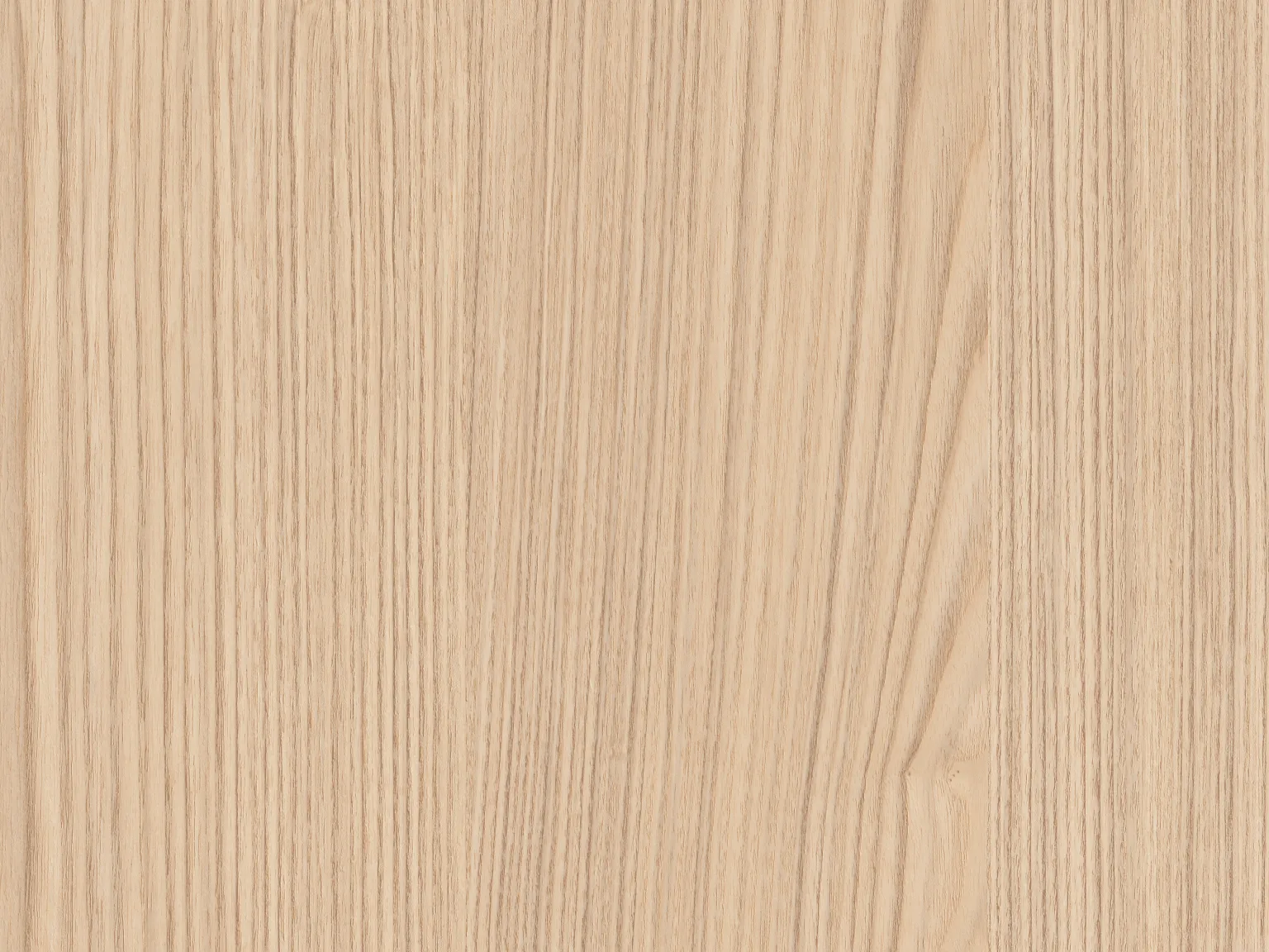 Jesion Lugano naturalny H1204 TM22