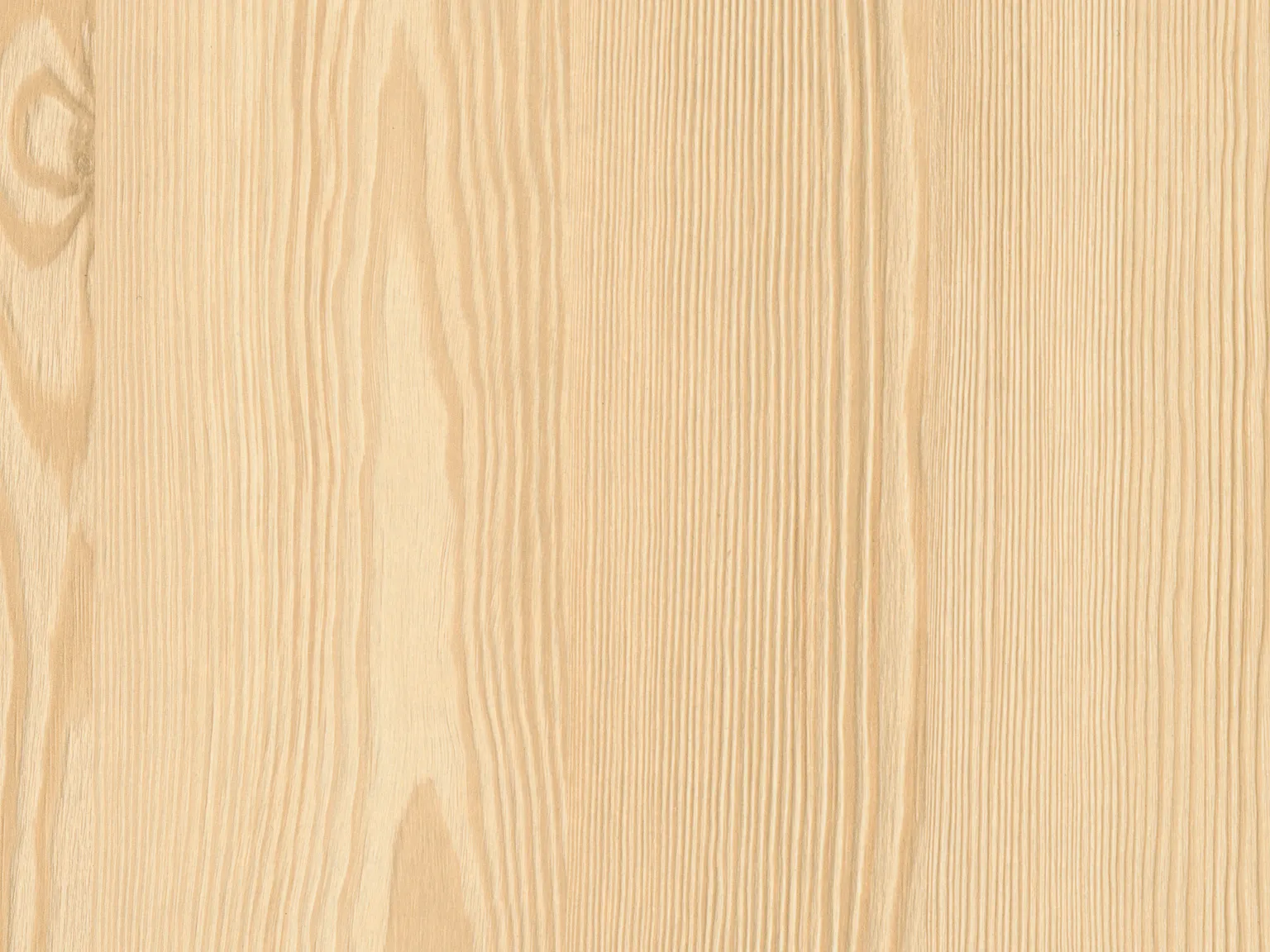 Modrzew górski naturalny H3409 ST38