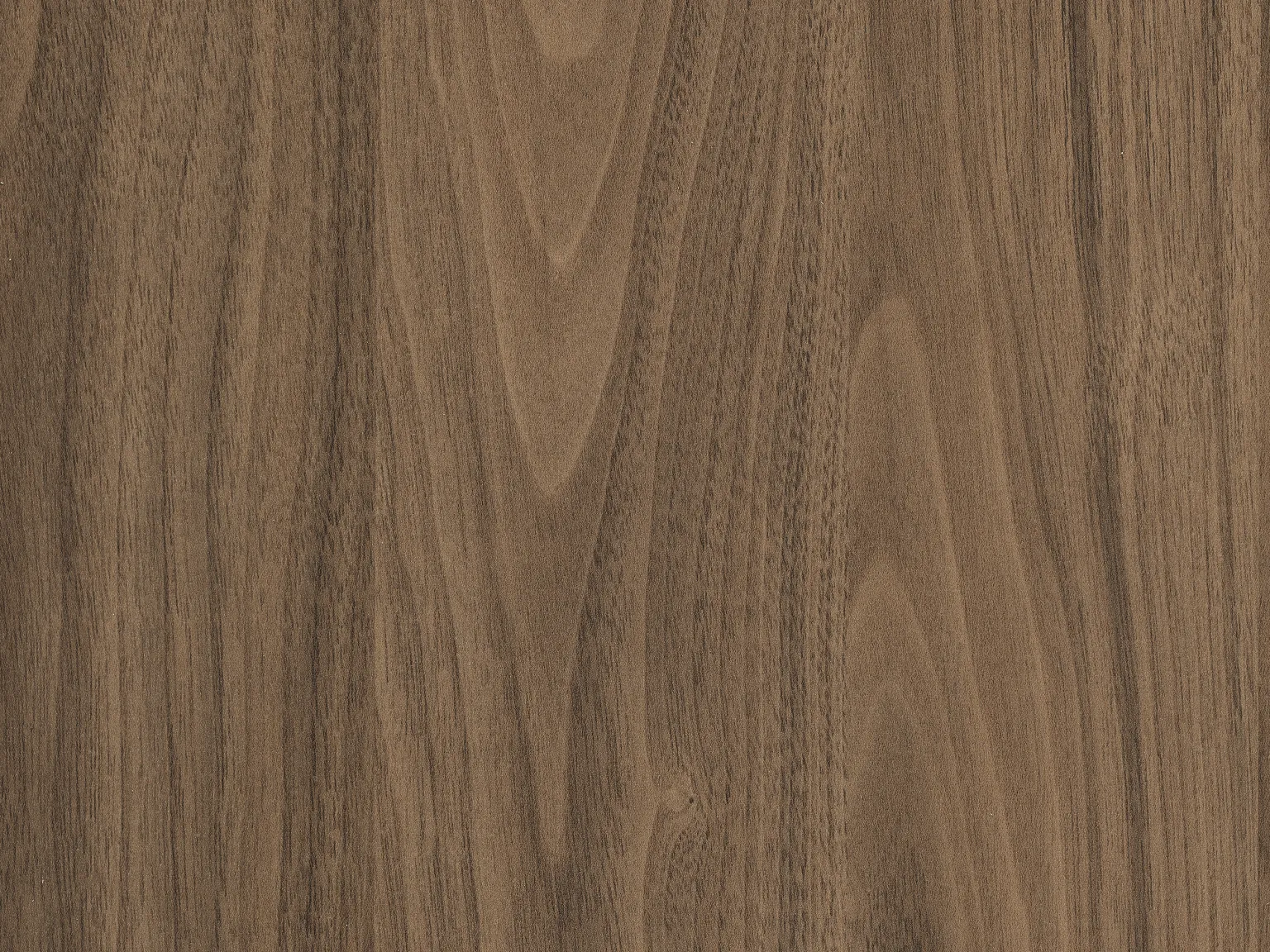 Orzech Carini naturalny H3710 ST12