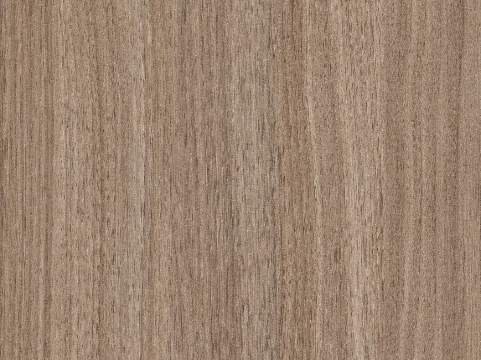 Orzech Dimaro naturalny H7604 ST17
