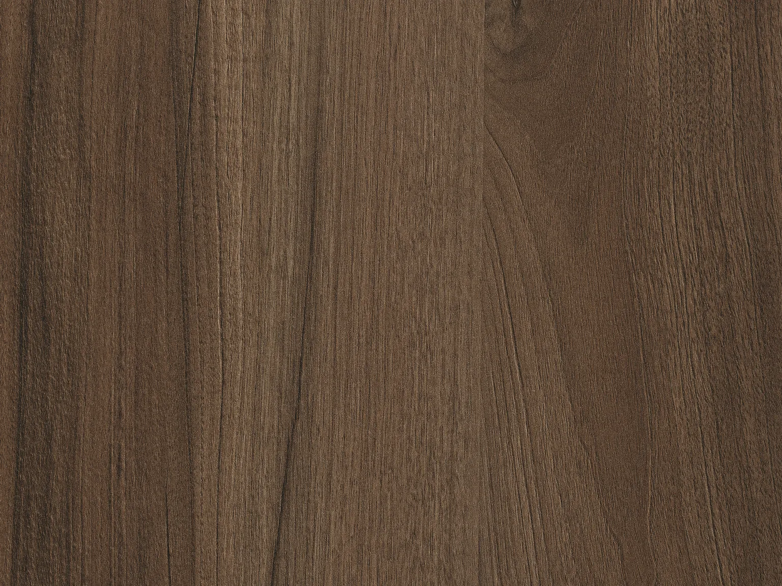 Orzech Pacific tabak H3702 ST10