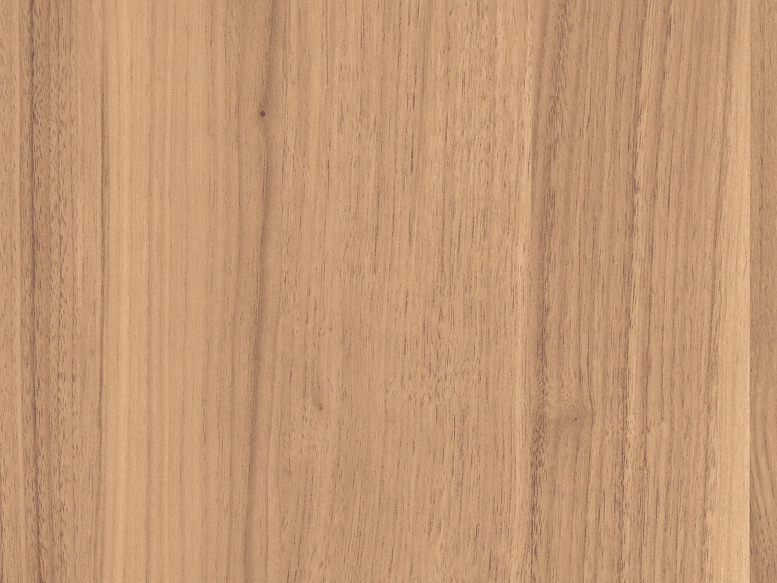 Orzech Parona H1715 ST12